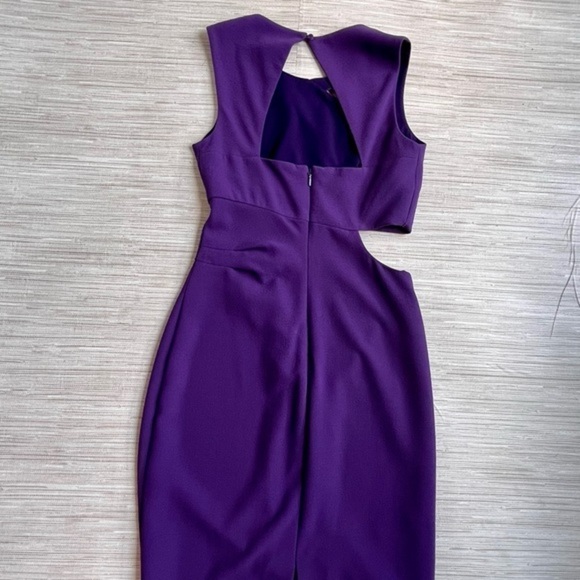 BCBGMAXAZRIA PLUM CUT OUT SHEATH DRESS | SIZE 8 - Picture 4 of 5
